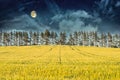 Mysterious Landscape Ã¢â¬â Field, Moon and Night Sky Royalty Free Stock Photo